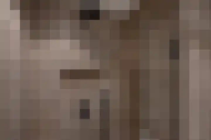 Nautawerf 10 Leidschendam thumbnail 31