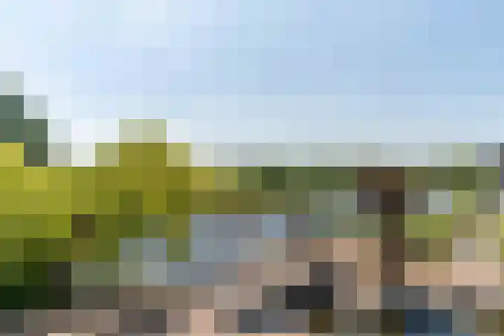 Nautawerf 22 Leidschendam thumbnail 20