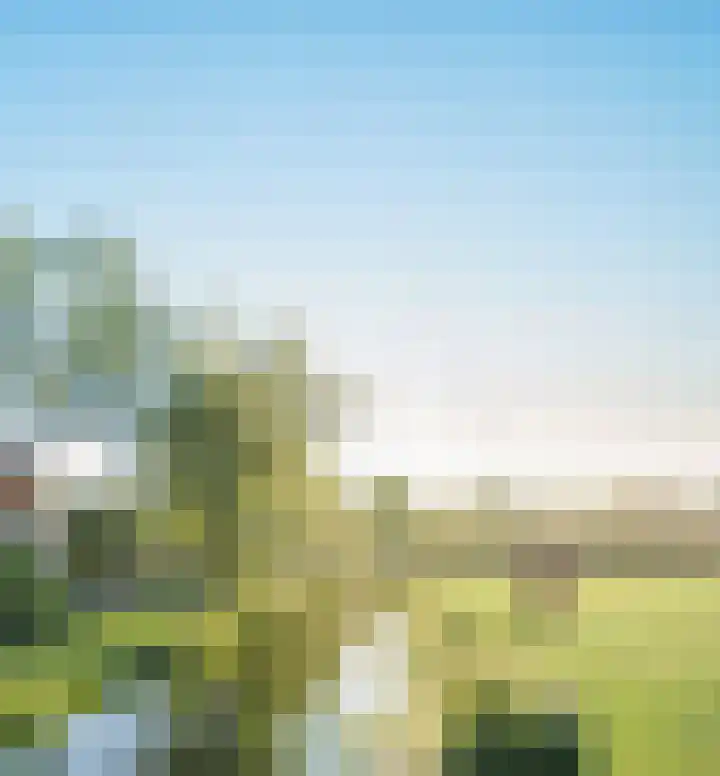 Nautawerf 22 Leidschendam thumbnail 6