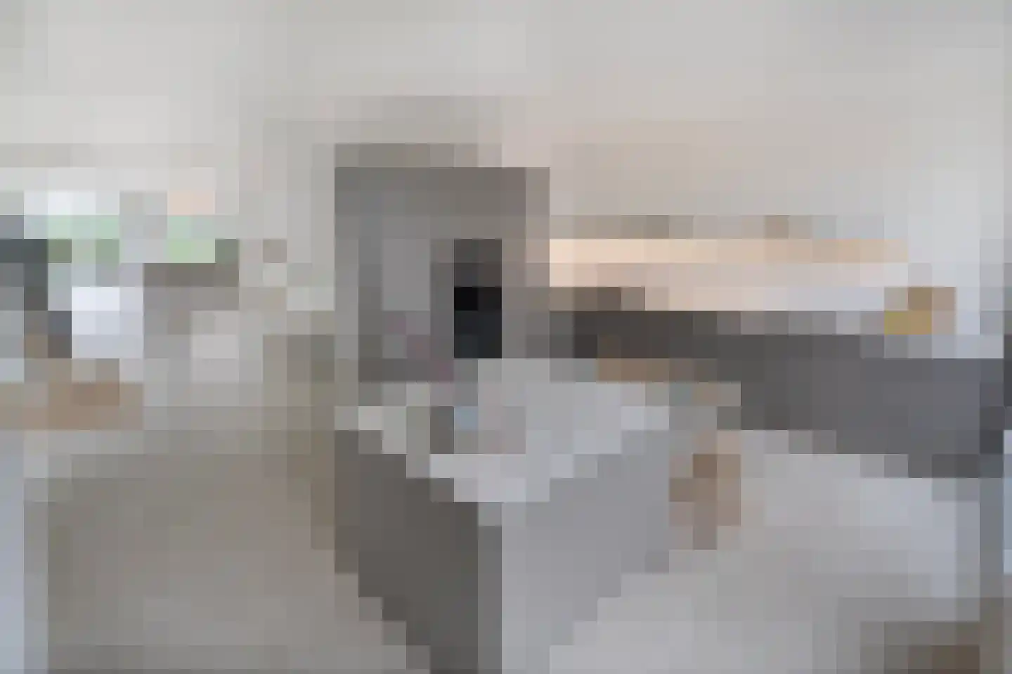 Nautawerf 26 Leidschendam thumbnail 33