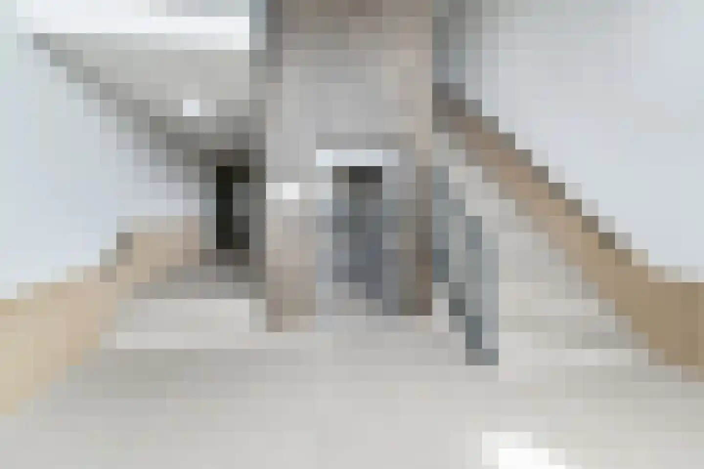 Nautawerf 26 Leidschendam thumbnail 5