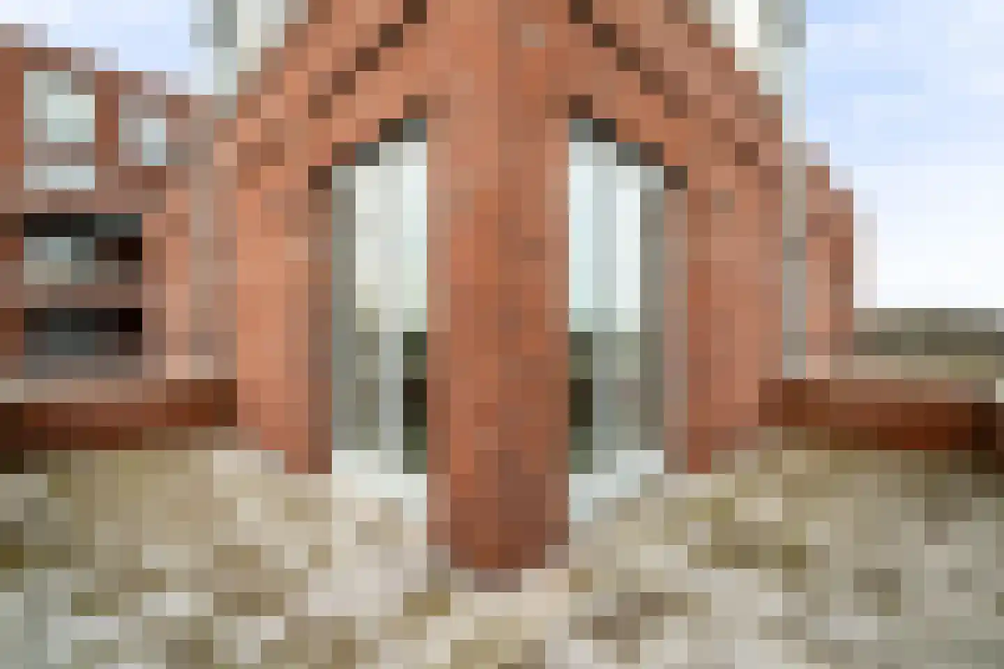 Nautawerf 32 Leidschendam thumbnail 26