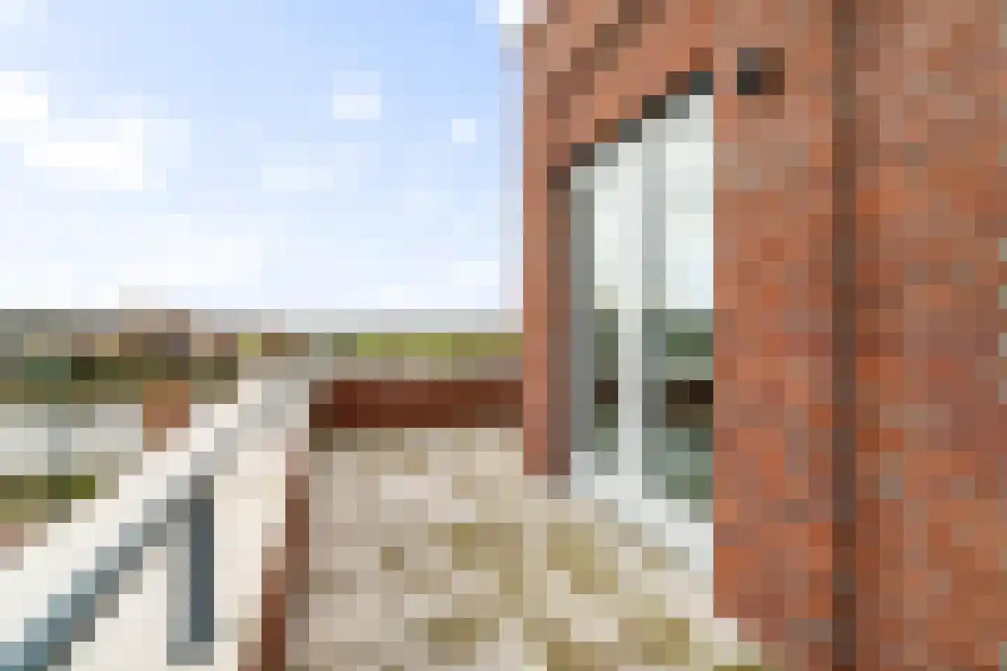 Nautawerf 32 Leidschendam thumbnail 27