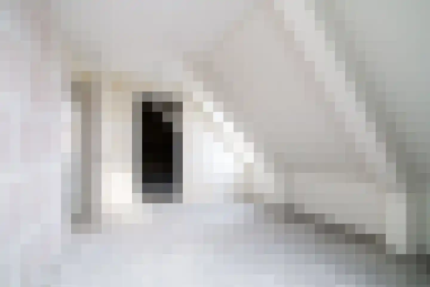 Nautawerf 32 Leidschendam thumbnail 39