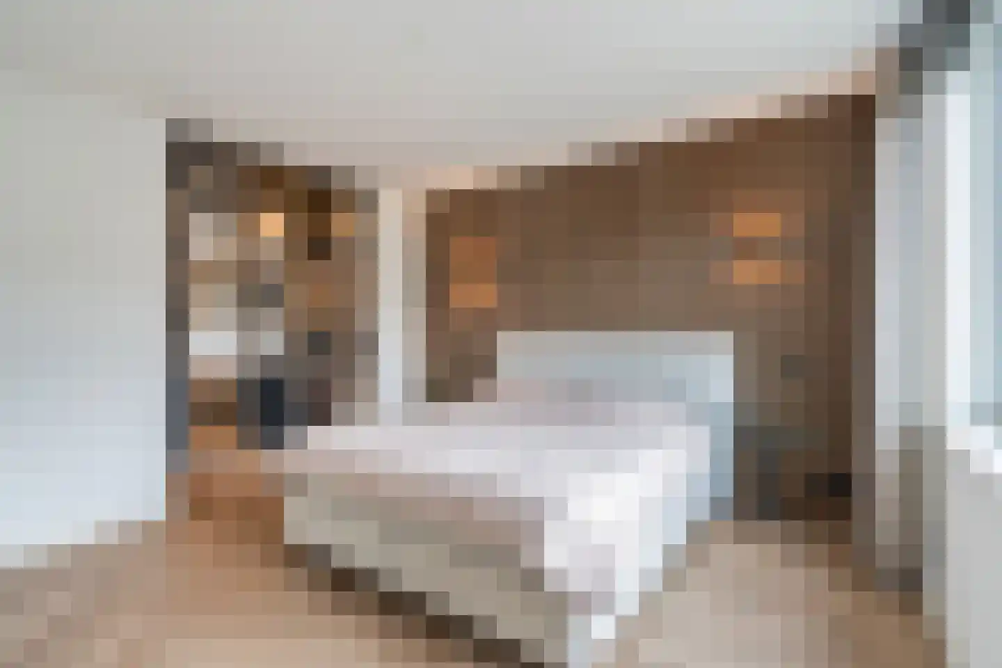 Nautawerf 42 Leidschendam thumbnail 31