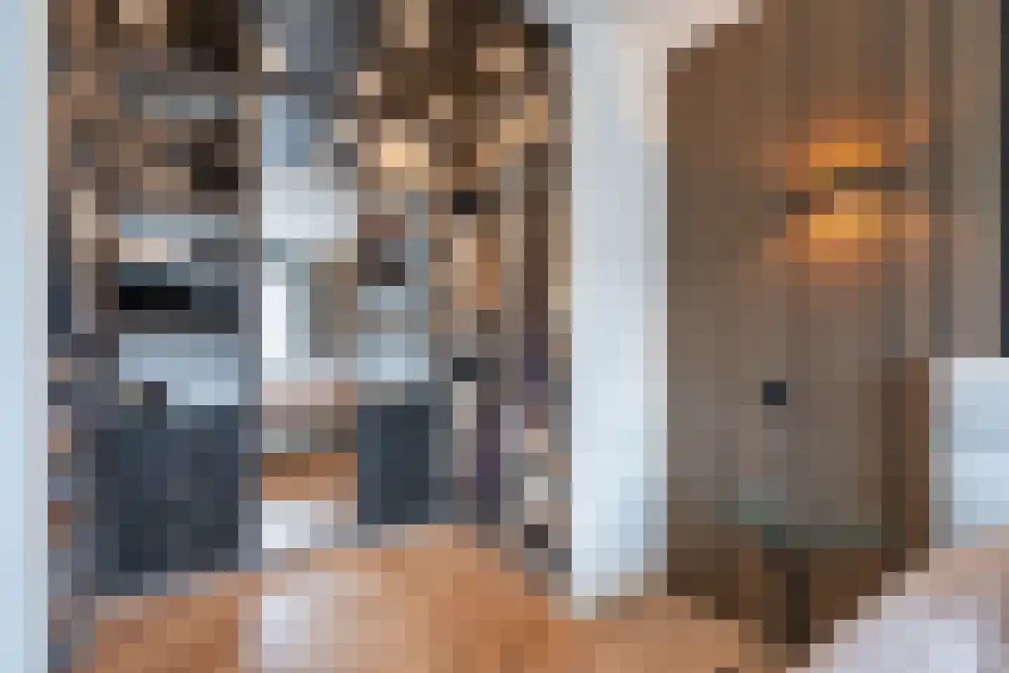 Nautawerf 42 Leidschendam thumbnail 32