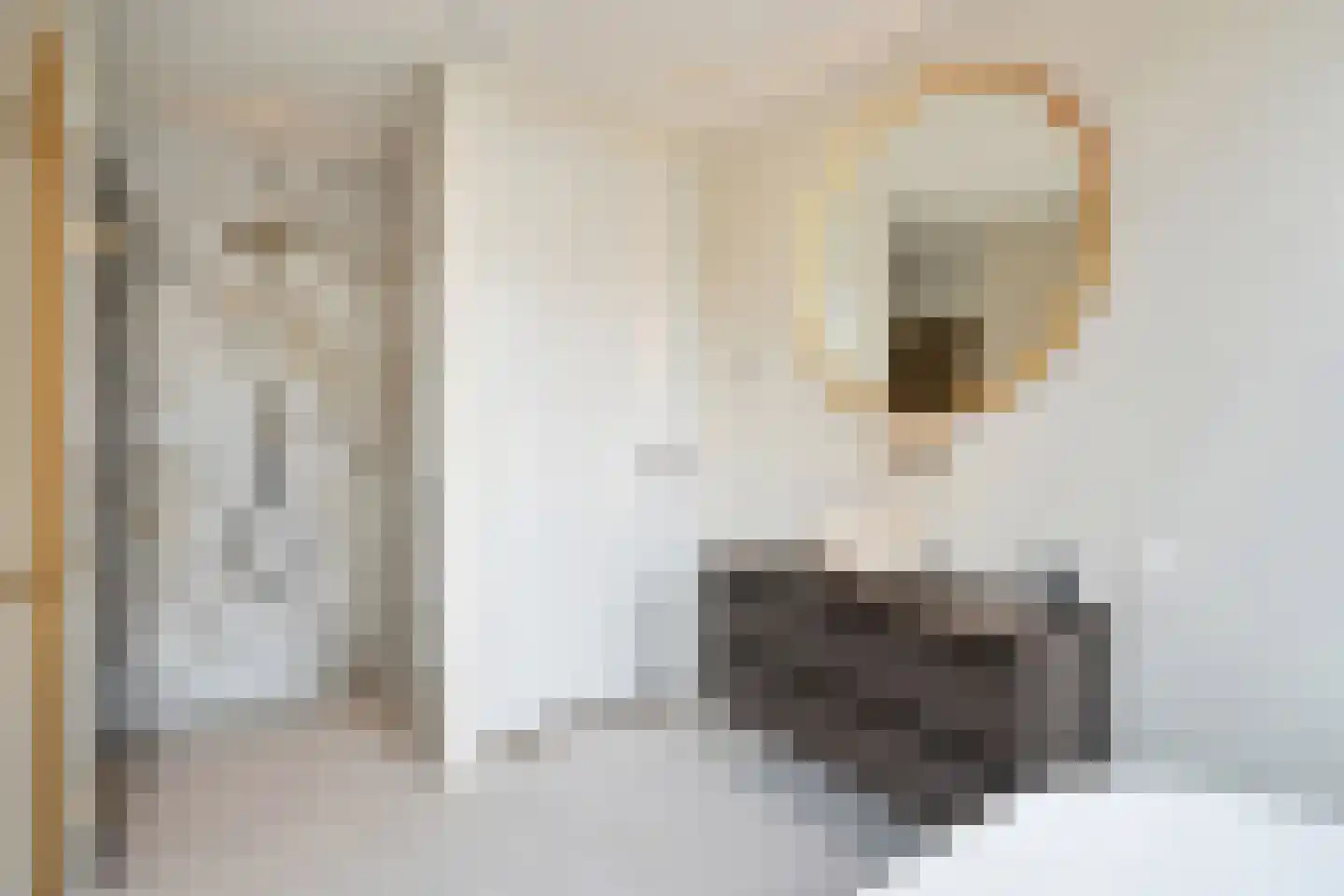 Nautawerf 42 Leidschendam thumbnail 38