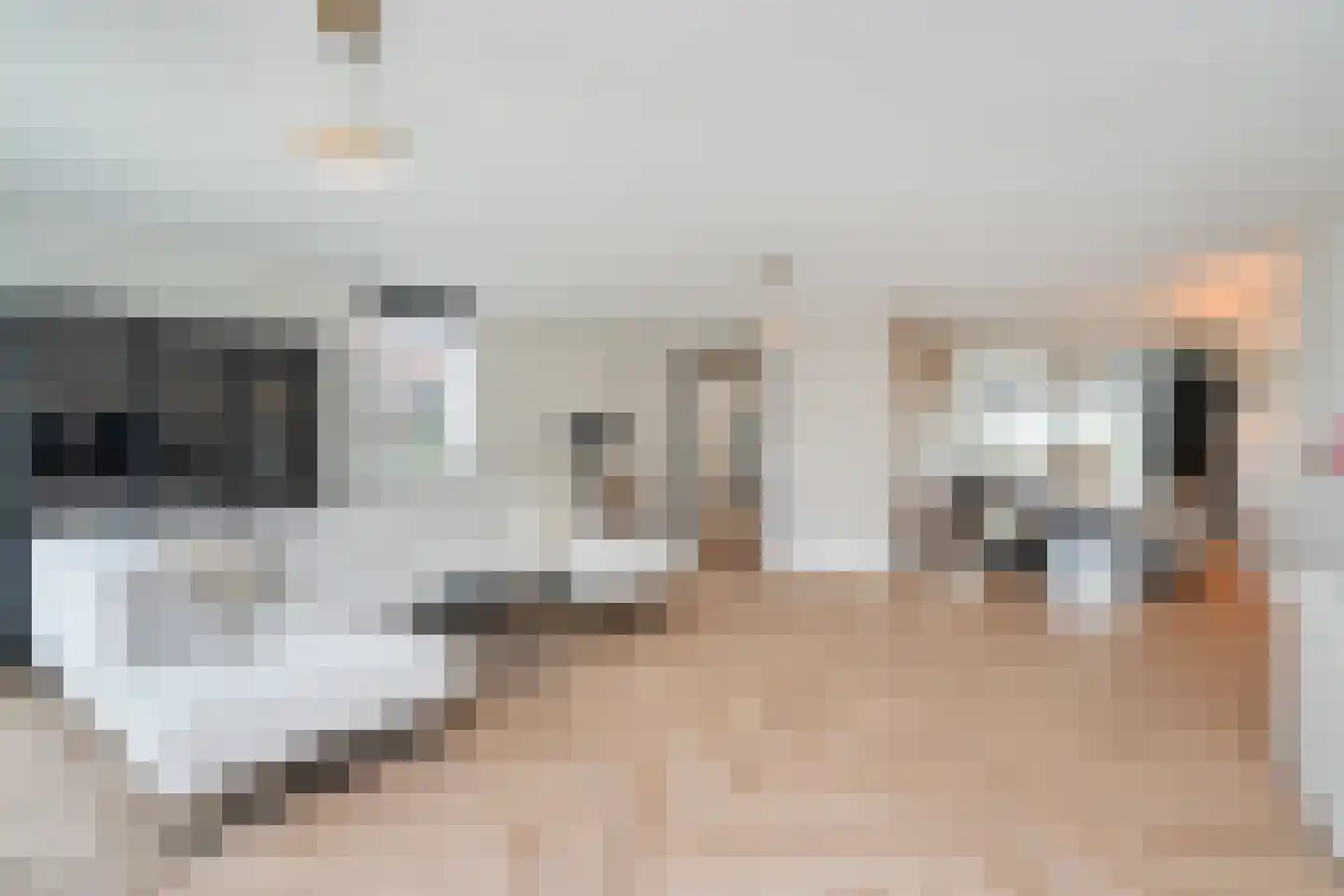 Nautawerf 42 Leidschendam thumbnail 4