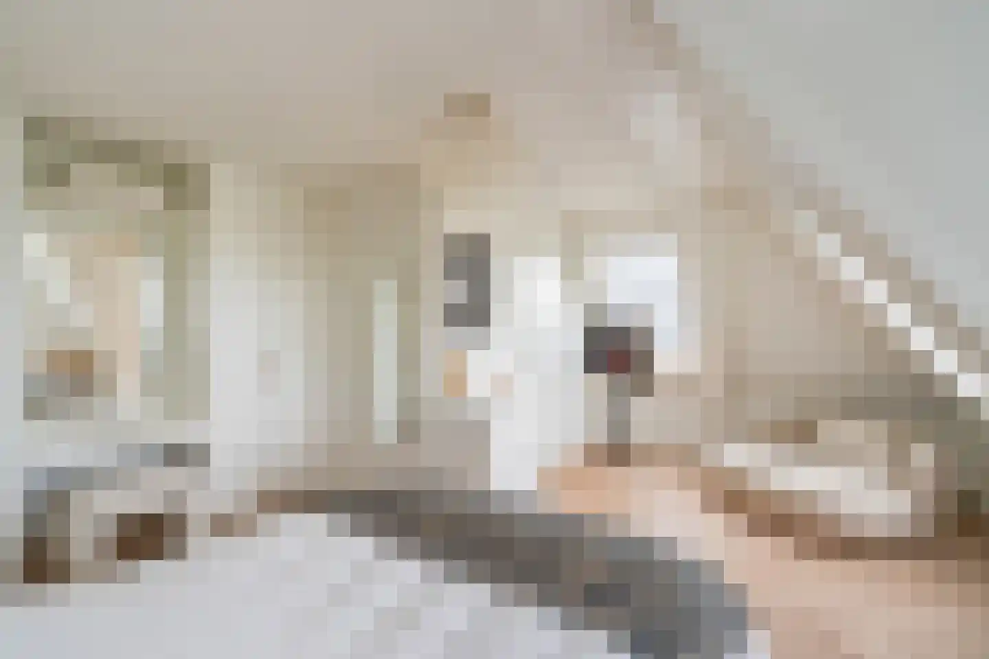 Nautawerf 42 Leidschendam thumbnail 41