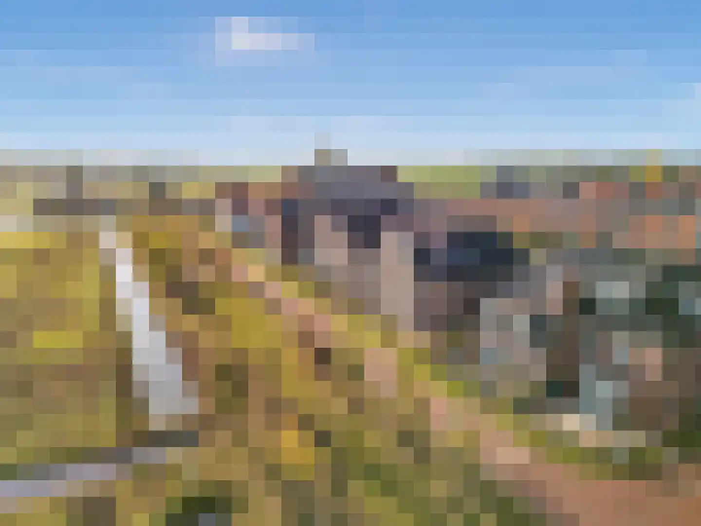 Nautawerf 42 Leidschendam thumbnail 52