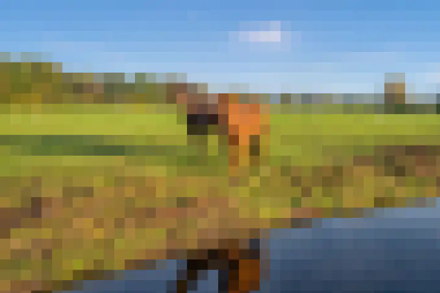 Nautawerf 42 Leidschendam thumbnail 56