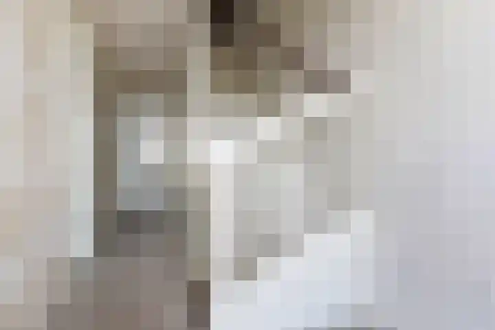 Nautawerf 47 Leidschendam thumbnail 12
