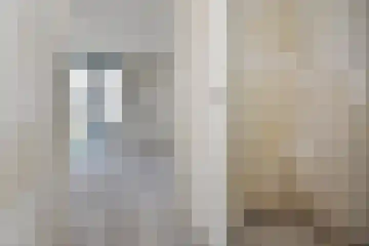 Nautawerf 47 Leidschendam thumbnail 13