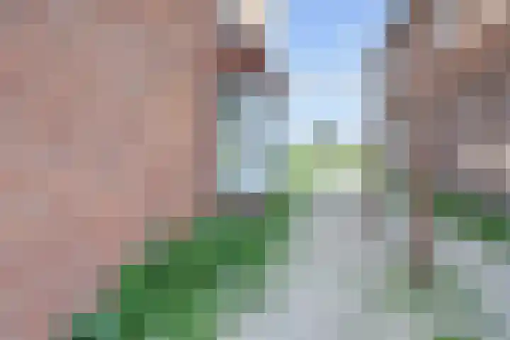Nautawerf 47 Leidschendam thumbnail 16