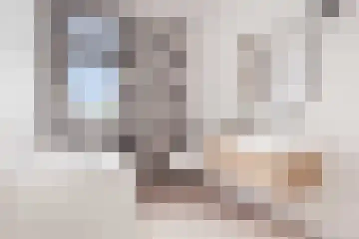 Nautawerf 47 Leidschendam thumbnail 27