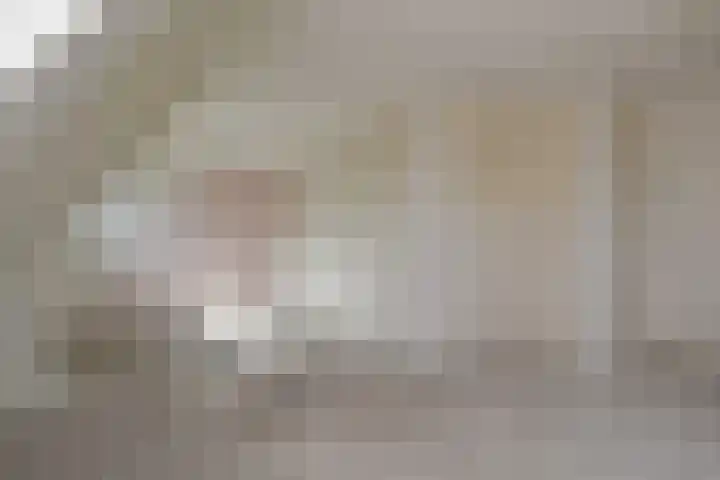 Nautawerf 47 Leidschendam thumbnail 37