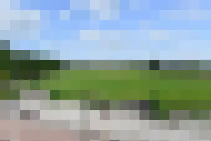 Nautawerf 47 Leidschendam thumbnail 39