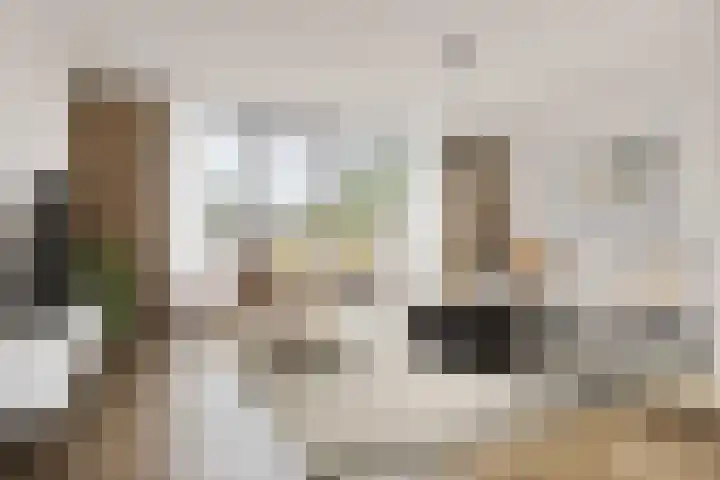 Nautawerf 47 Leidschendam thumbnail 4