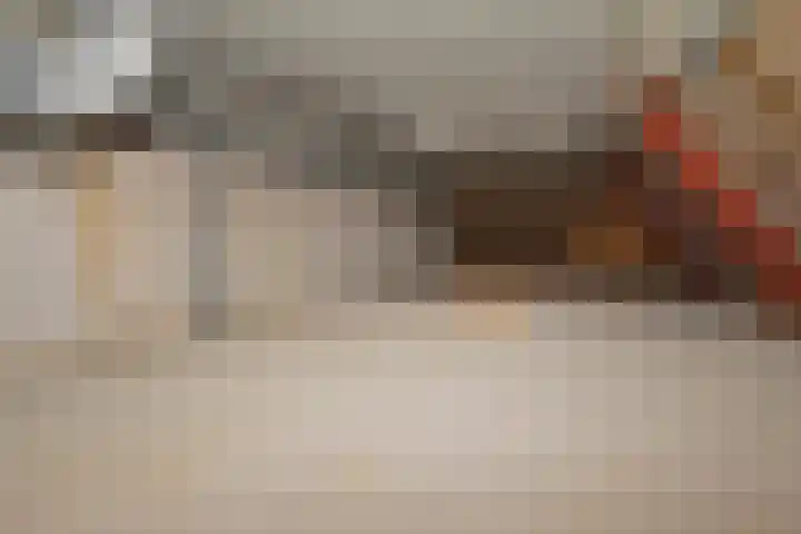 Nautawerf 47 Leidschendam thumbnail 42