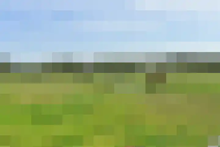 Nautawerf 47 Leidschendam thumbnail 44