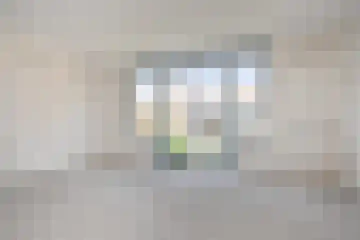 Nautawerf 47 Leidschendam thumbnail 5