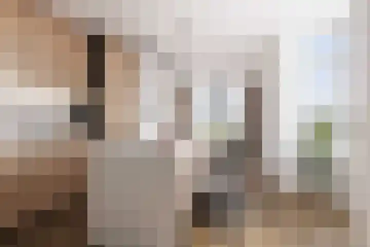 Nautawerf 47 Leidschendam thumbnail 6