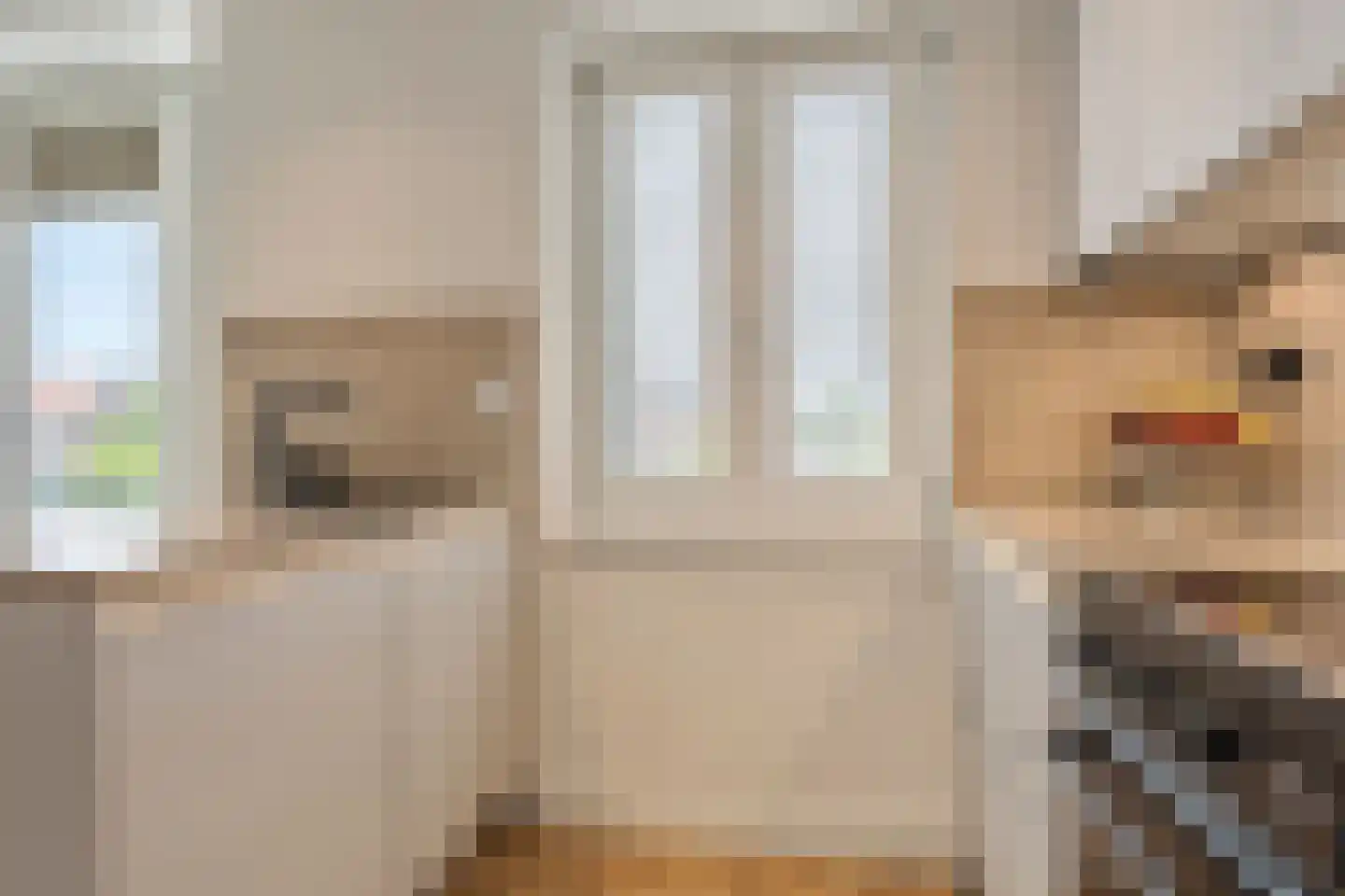 Nautawerf 6 Leidschendam thumbnail 22