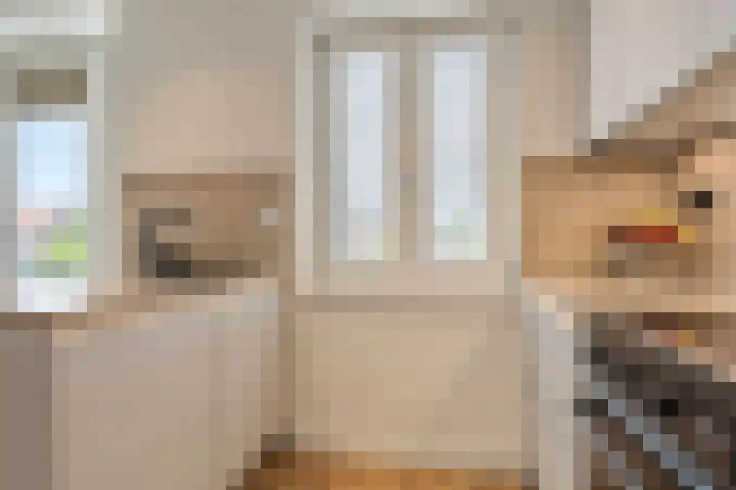 Nautawerf 6 Leidschendam thumbnail 25