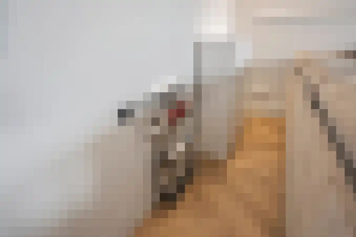 Nautawerf 6 Leidschendam thumbnail 31