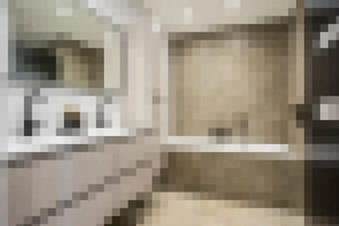 Nautawerf 6 Leidschendam thumbnail 44