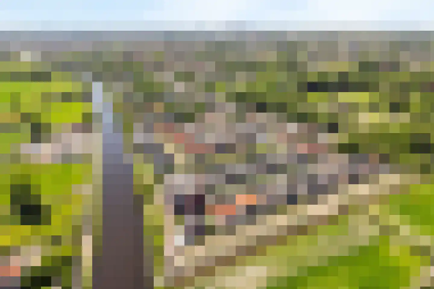 Nautawerf 6 Leidschendam thumbnail 83