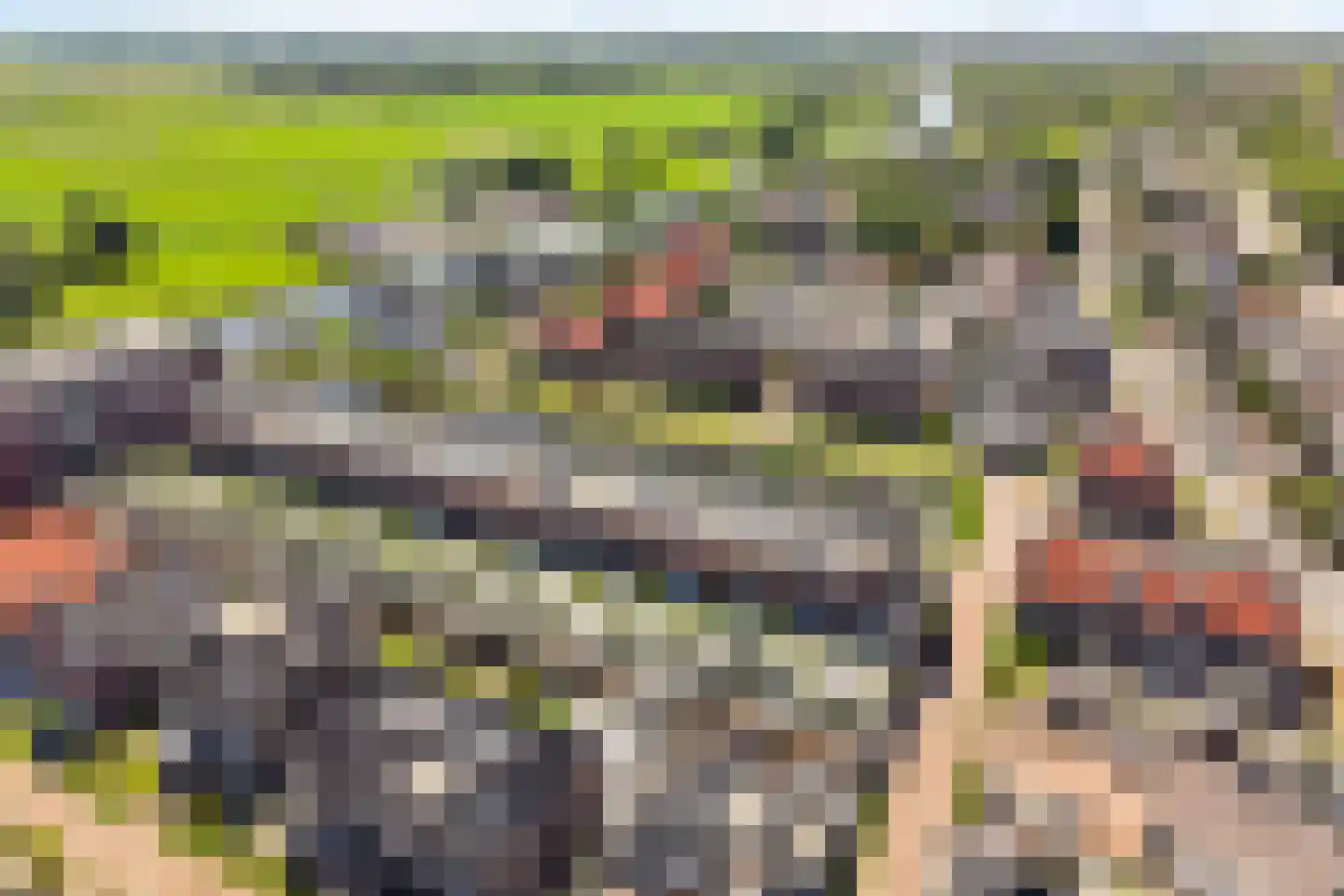 Nautawerf 6 Leidschendam thumbnail 85