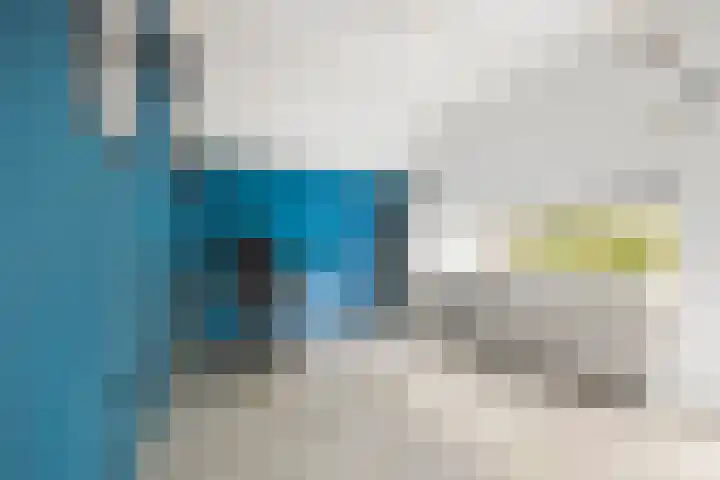 Nautilusbank 6 Leiden thumbnail 14