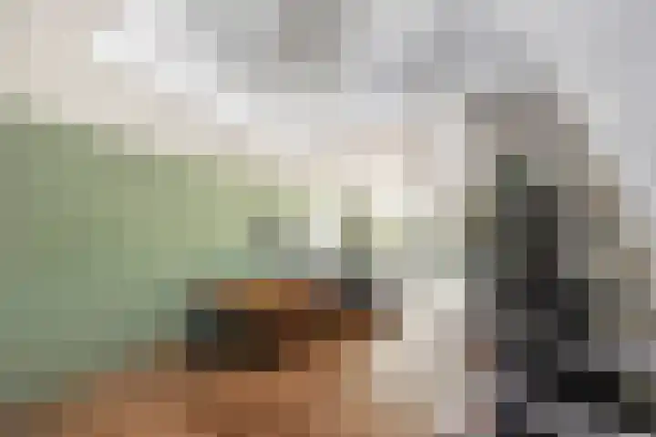 Nautilusbank 6 Leiden thumbnail 7