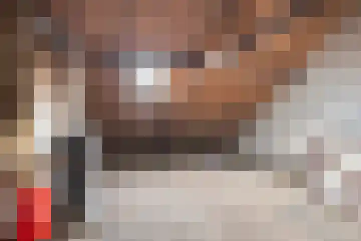 Nautilusstraat 72 Tilburg thumbnail 16