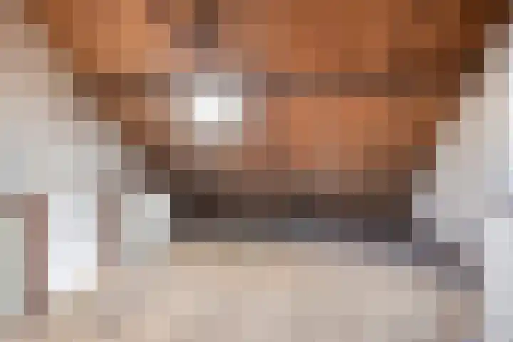 Nautilusstraat 72 Tilburg thumbnail 17