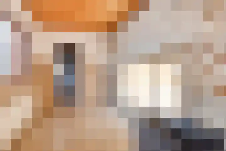 Nautilusstraat 72 Tilburg thumbnail 6