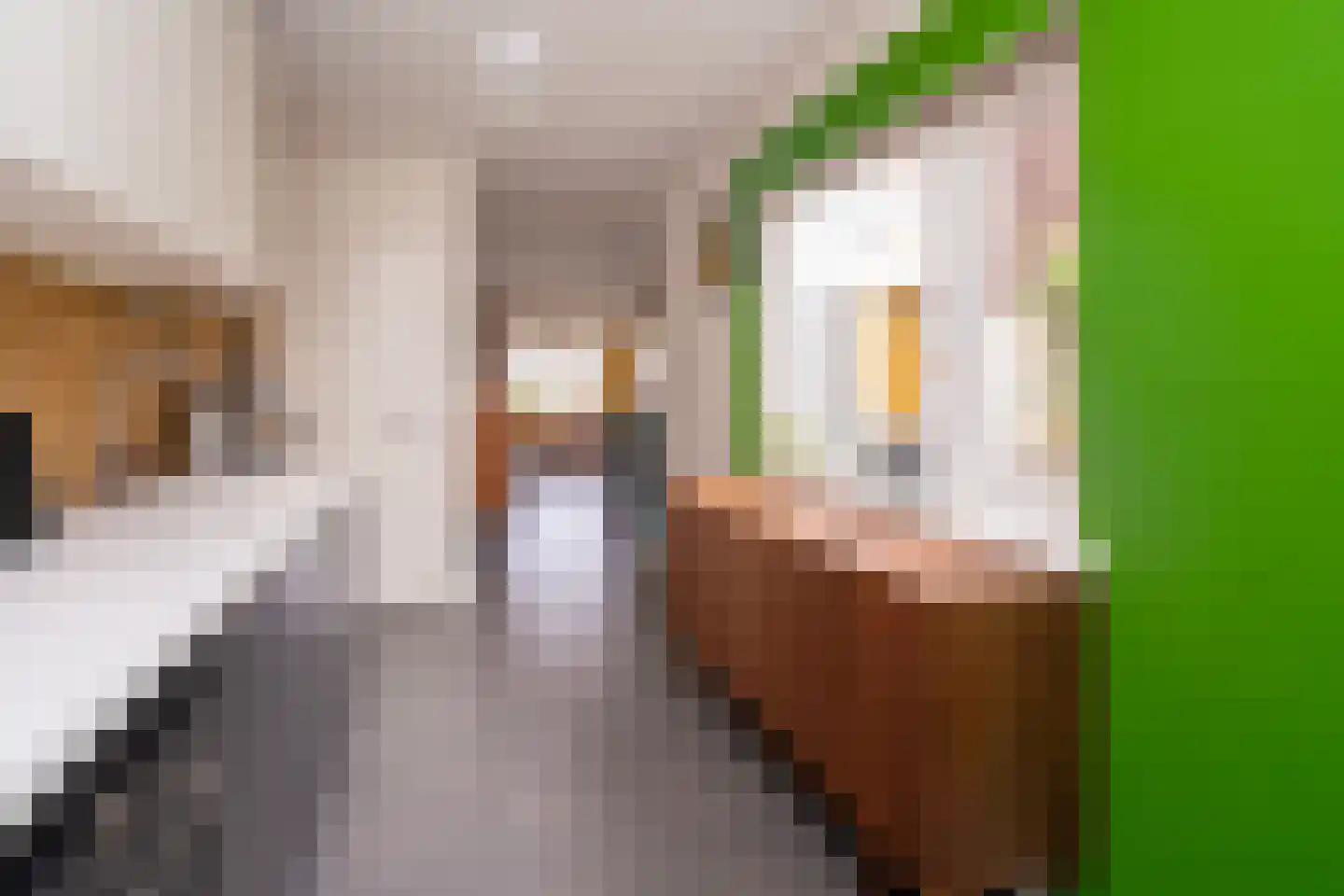 Nautilusstraat 74 Tilburg thumbnail 18