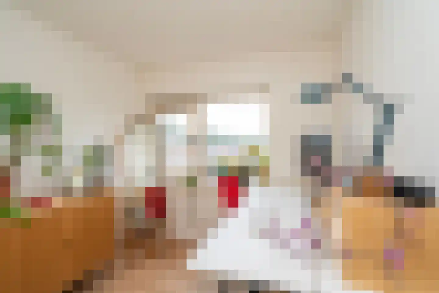 Nautilusstraat 74 Tilburg thumbnail 4