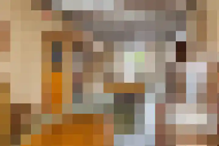 Nautilusstraat 90 Tilburg thumbnail 14
