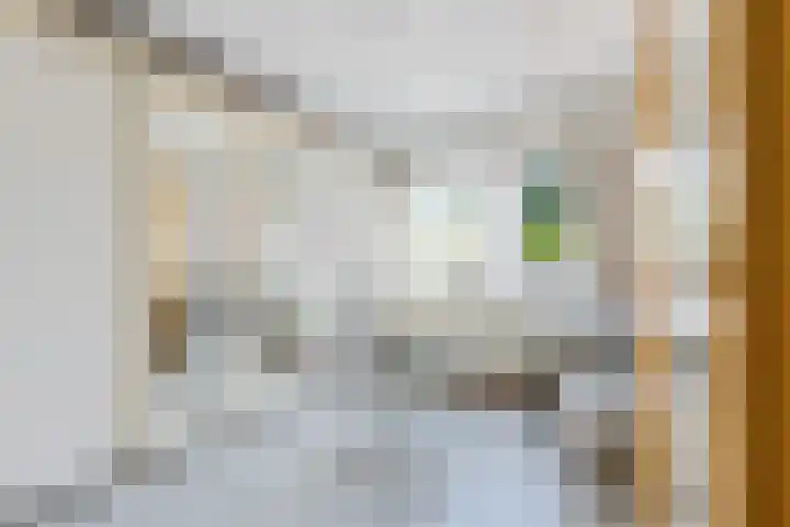 Nautilusstraat 90 Tilburg thumbnail 33