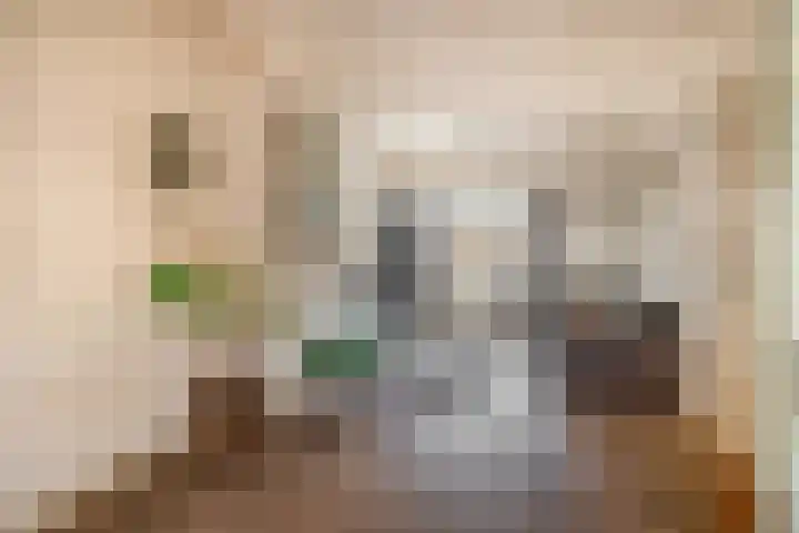 Nautilusstraat 92 Tilburg thumbnail 13
