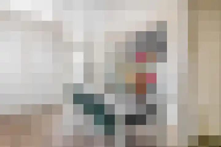 Nautilusstraat 92 Tilburg thumbnail 15