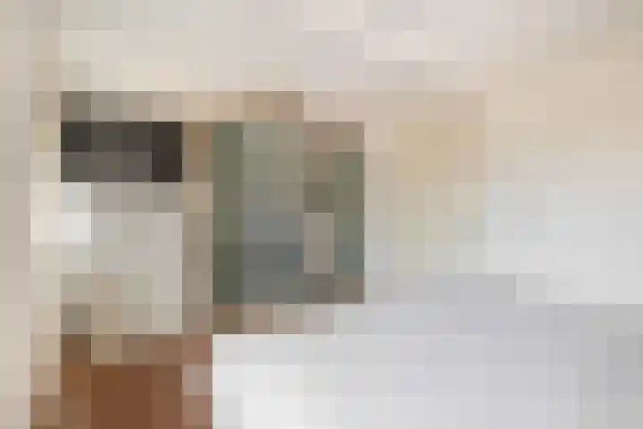 Nautilusstraat 92 Tilburg thumbnail 33