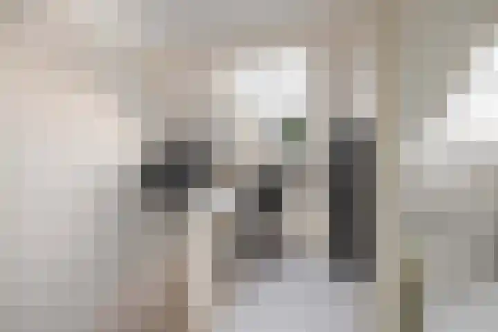 Nautilusstraat 92 Tilburg thumbnail 38
