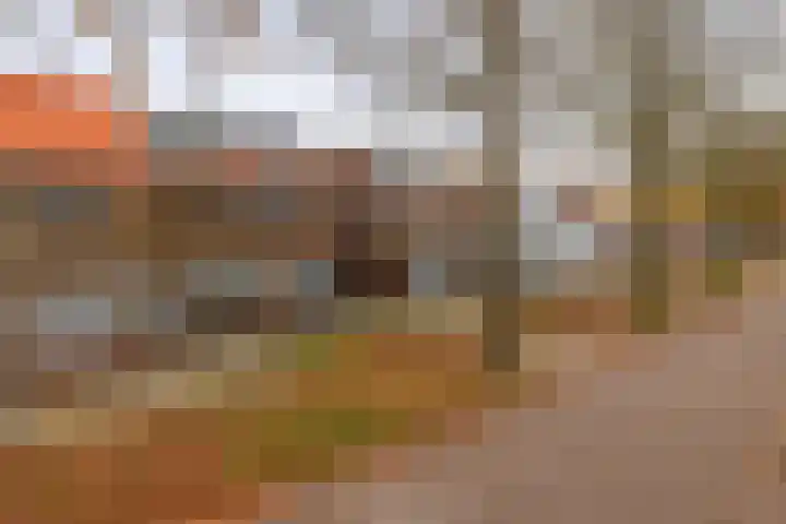 Nautilusstraat 92 Tilburg thumbnail 4