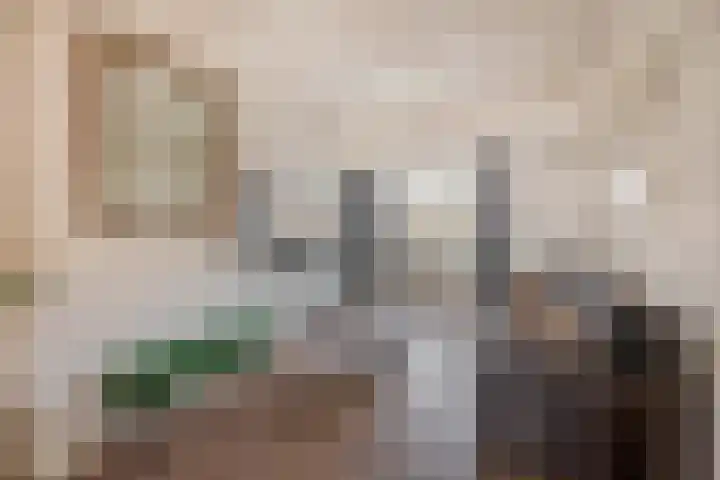 Nautilusstraat 92 Tilburg thumbnail 8