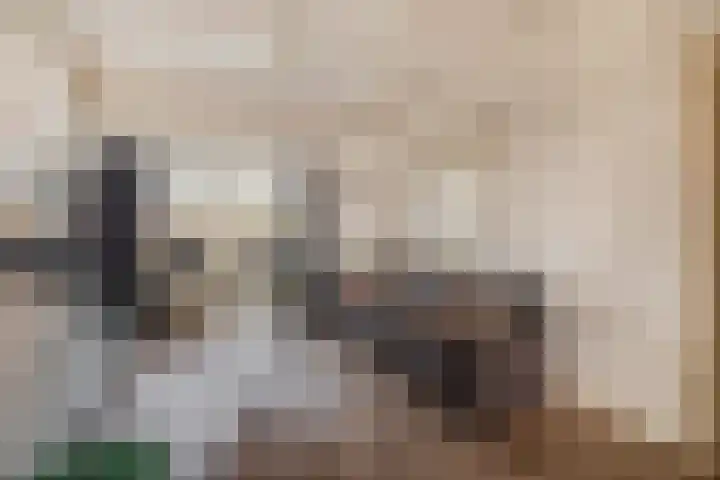Nautilusstraat 92 Tilburg thumbnail 9