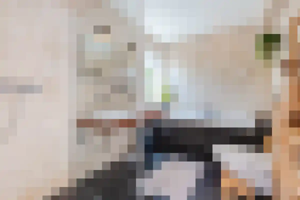 Nauwe Geldelozepad 30 Haarlem thumbnail 5
