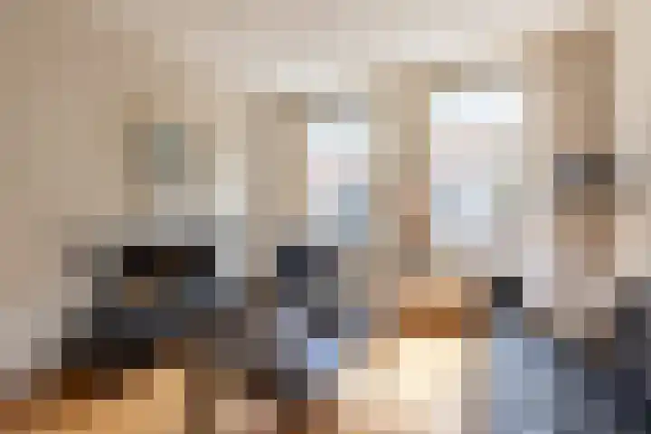 Nauwe Geldelozepad 38 Haarlem thumbnail 13